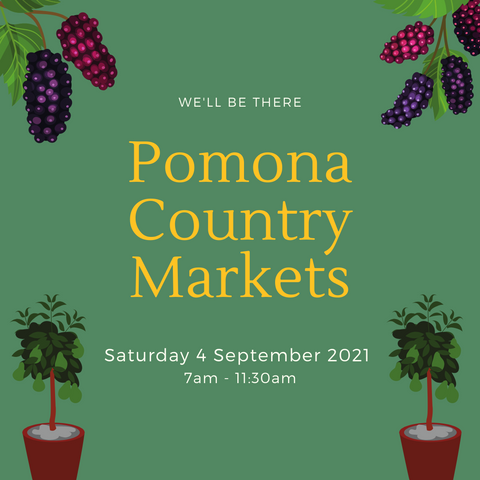 See you at Pomona Country Markets - Saturday 4 September 2021 (Featured Image)