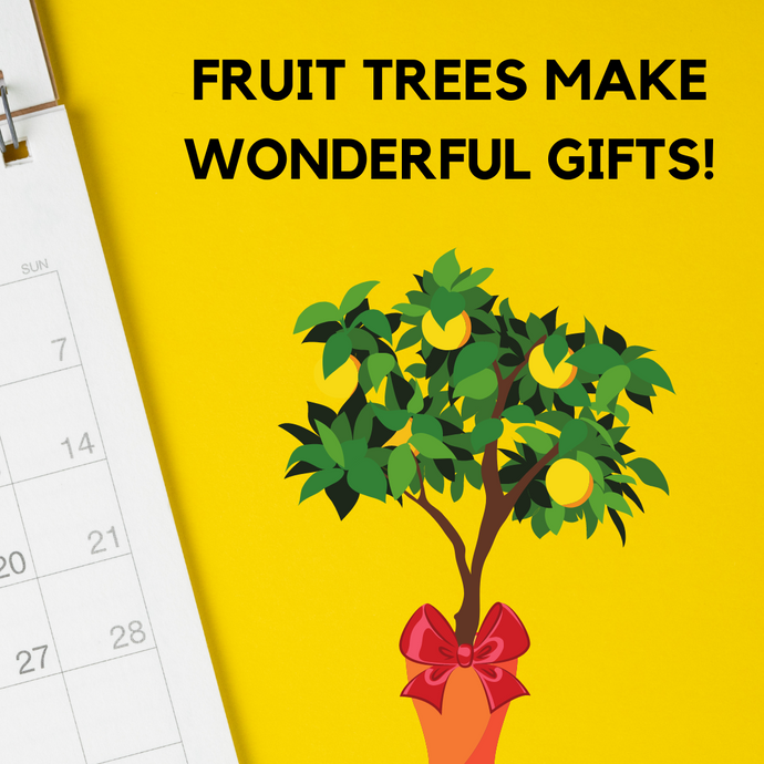 Fruit Trees Make Wonderful Gifts