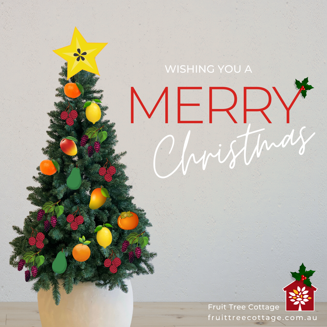 Merry Christmas from Fruit Tree Cottage! (2021) Fruit Tree Cottage