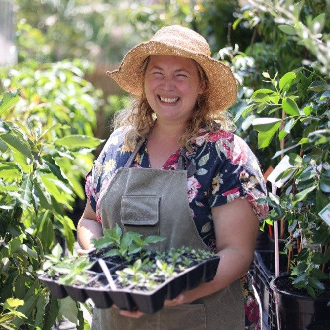 From Our Garden to Yours Fruit Tree Cottage Celebrates Feature in Sun