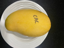 Load image into Gallery viewer, Mango | Cac