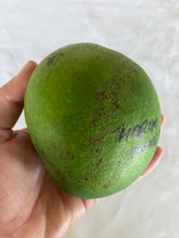 Load image into Gallery viewer, Mango | Harum Wangi