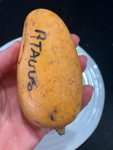 Load image into Gallery viewer, Mango | Ataulfo