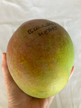 Load image into Gallery viewer, Mango | Bullocks Heart