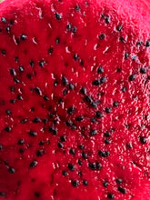 Load image into Gallery viewer, Dragon Fruit | Red