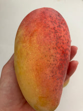 Load image into Gallery viewer, Mango | Valencia Pride