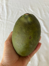 Load image into Gallery viewer, Mango | Pairi