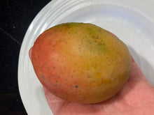 Load image into Gallery viewer, Mango | Cotton Candy