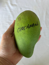 Load image into Gallery viewer, Mango | Choc Anan