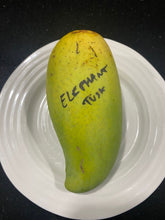 Load image into Gallery viewer, Mango | Elephant Tusk