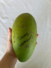 Load image into Gallery viewer, Mango | Tuong