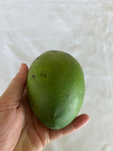Load image into Gallery viewer, Mango | Harum Wangi