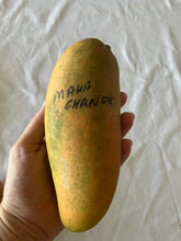 Load image into Gallery viewer, Dwarf Mango | King Thai