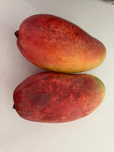 Load image into Gallery viewer, Mango | Valencia Pride