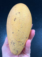 Load image into Gallery viewer, Mango | Mallika