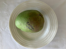 Load image into Gallery viewer, Mango | Cotton Candy