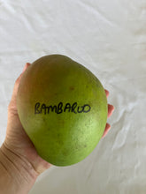 Load image into Gallery viewer, Semi-Dwarf Mango | Bambaroo