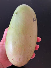 Load image into Gallery viewer, Mango | Rupee