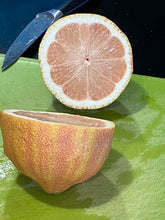 Load image into Gallery viewer, Lemon | Variegated Eureka Lemon