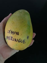 Load image into Gallery viewer, Mango | Lemon Meringue