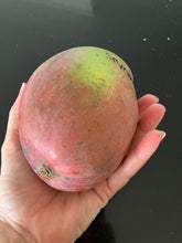 Load image into Gallery viewer, Mango | Spychala