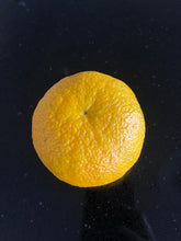 Load image into Gallery viewer, Orange | Appleby Smooth Seville Orange