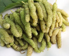 Load image into Gallery viewer, Mulberry | King White Shahtoot