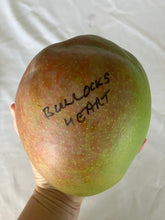 Load image into Gallery viewer, Mango | Bullocks Heart