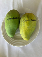 Load image into Gallery viewer, Mango | Choc Anan