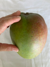 Load image into Gallery viewer, Mango | Bullocks Heart