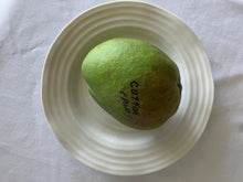 Load image into Gallery viewer, Mango | Cotton Candy