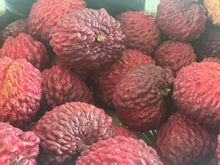 Load image into Gallery viewer, Lychee | Erdon Lee