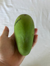 Load image into Gallery viewer, Mango | Choc Anan