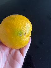 Load image into Gallery viewer, Orange | Appleby Smooth Seville Orange