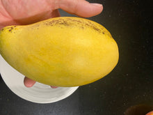 Load image into Gallery viewer, Mango | Cac
