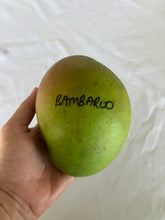 Load image into Gallery viewer, Semi-Dwarf Mango | Bambaroo