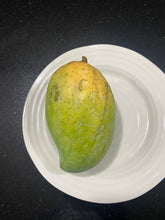 Load image into Gallery viewer, Mango | Zillate