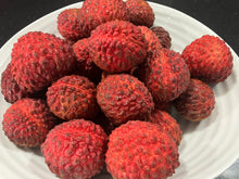 Load image into Gallery viewer, Lychee | Erdon Lee