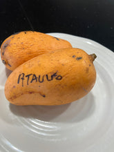 Load image into Gallery viewer, Mango | Ataulfo