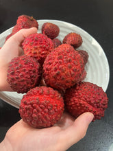 Load image into Gallery viewer, Lychee | Erdon Lee