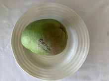 Load image into Gallery viewer, Mango | Cotton Candy