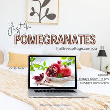 Load image into Gallery viewer, Pomegranate | Ben Hur