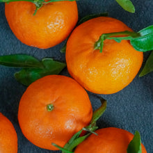 Load image into Gallery viewer, Mandarin | Silverhill Satsuma