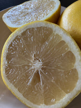 Load image into Gallery viewer, Grapefruit | Marsh