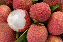 Load image into Gallery viewer, Lychee | Salathiel