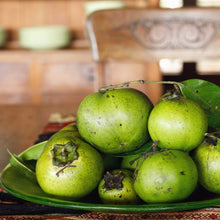 Load image into Gallery viewer, Persimmon | Black Sapote