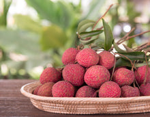 Load image into Gallery viewer, Lychee | Salathiel