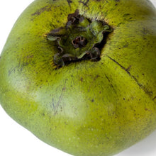 Load image into Gallery viewer, Persimmon | Black Sapote