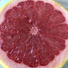 Load image into Gallery viewer, Grapefruit | Star Ruby