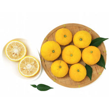 Load image into Gallery viewer, Citron | Yuzu